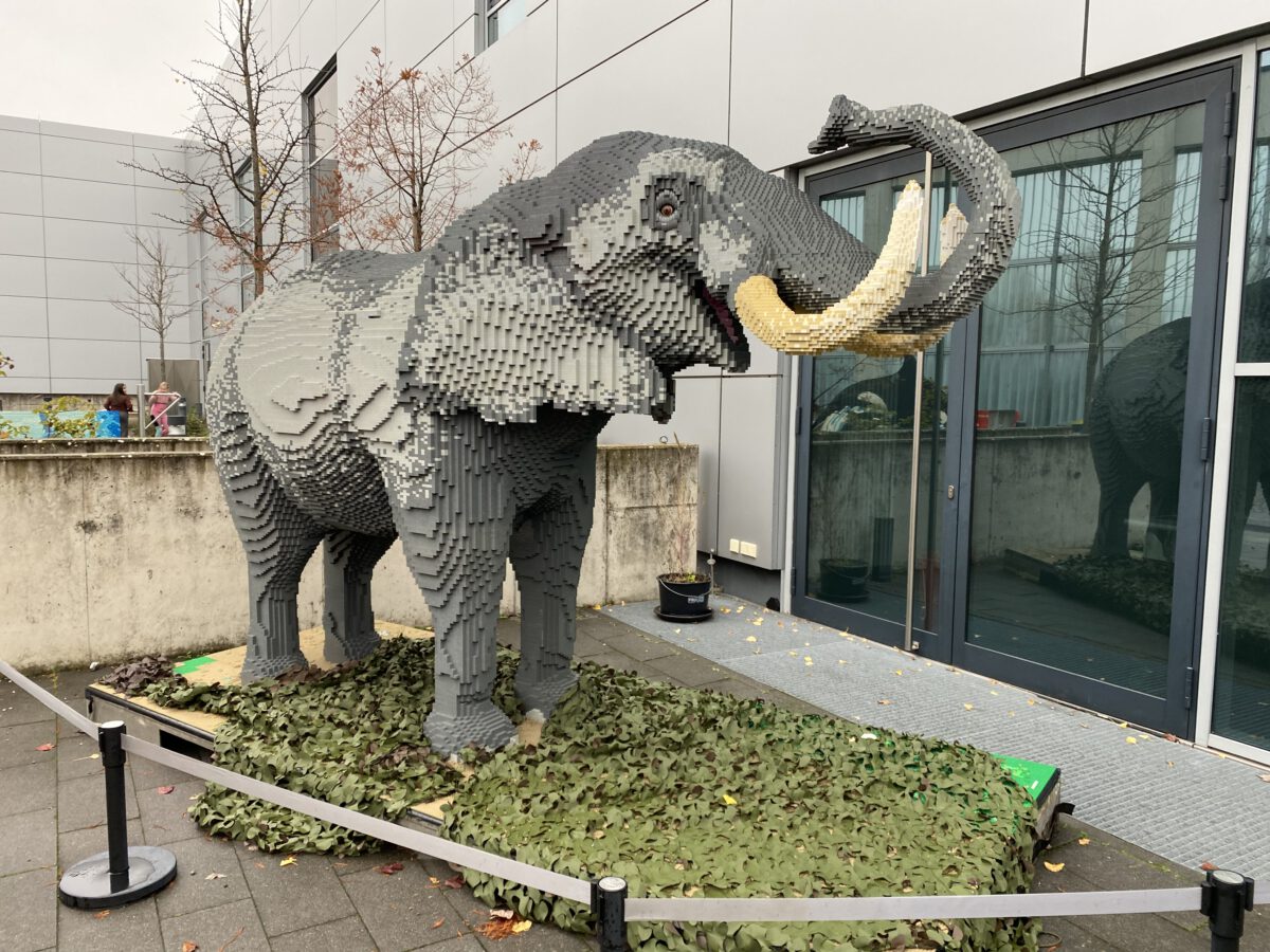 Ausflug zum Museum mit der Maus Kipperschule